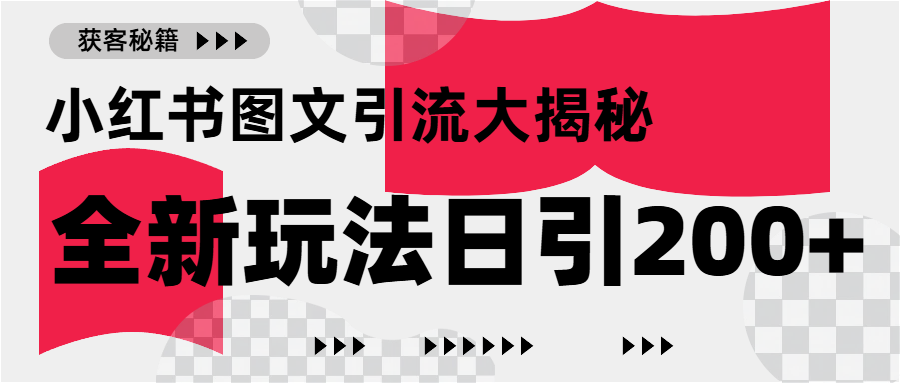 小红书图文引流,只需一张图片即可撬动百万流量,日引200+创业粉-奇奇网创