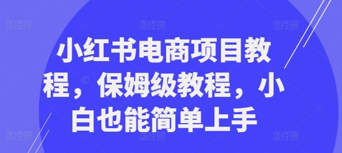 小红书电商项目教程，保姆级教程，小白也能简单上手-奇奇网创