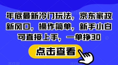 年底最新冷门玩法，京东家政新风口，操作简单，新手小白可直接上手，一单挣30【揭秘】-奇奇网创