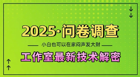 2025问卷调查最新工作室技术解密：一个人在家也可以闷声发大财，小白一天2张，可矩阵放大【揭秘】-奇奇网创