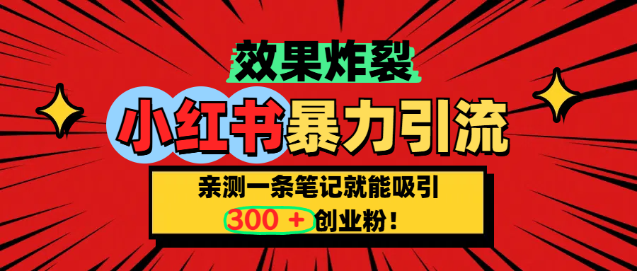 小红书炸裂玩法，亲测一条笔记就能吸引300+精准创业粉！-奇奇网创