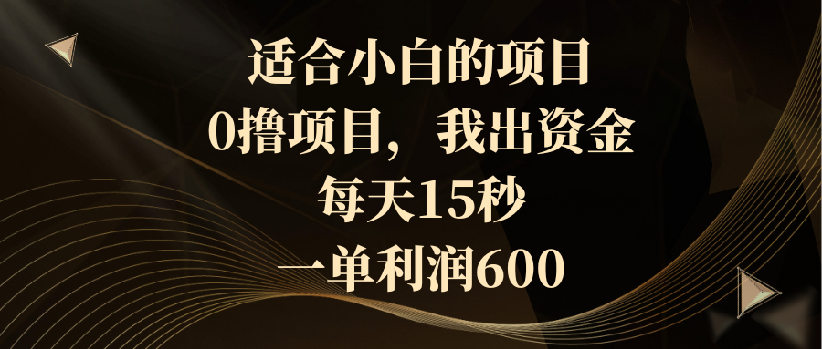 适合小白的项目，0撸项目，我出资金，每天15秒，一单利润600-奇奇网创
