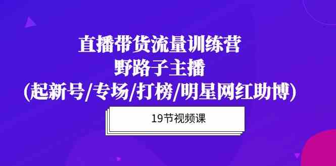 （10016期）直播带货流量特训营，野路子主播(起新号/专场/打榜/明星网红助博)19节课-奇奇网创