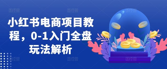 小红书电商项目教程，0-1入门全盘玩法解析-奇奇网创