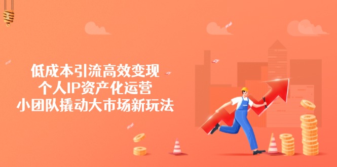 低成本引流高效变现，个人IP资产化运营，小团队撬动大市场新玩法-奇奇网创