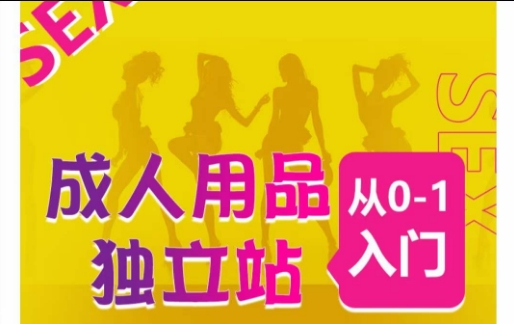 成人用品独立站从0-1入门，成品独立站运营全流程教学，七大好卖成品独立站推荐-奇奇网创