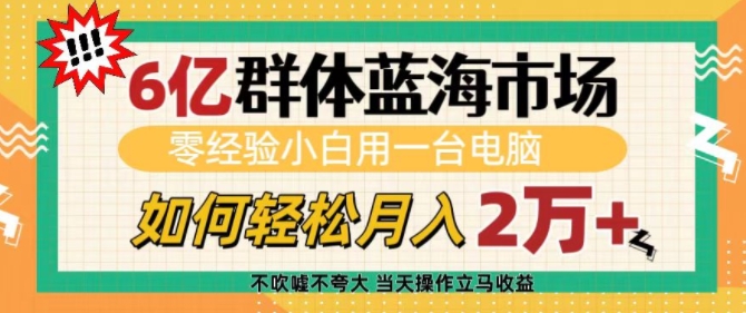 6亿群体蓝海市场，零经验小白用一台电脑，如何轻松月入过w【揭秘】-奇奇网创