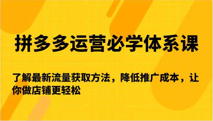 拼多多运营必学体系课-了解最新流量获取方法，降低推广成本，让你做店铺更轻松-奇奇网创