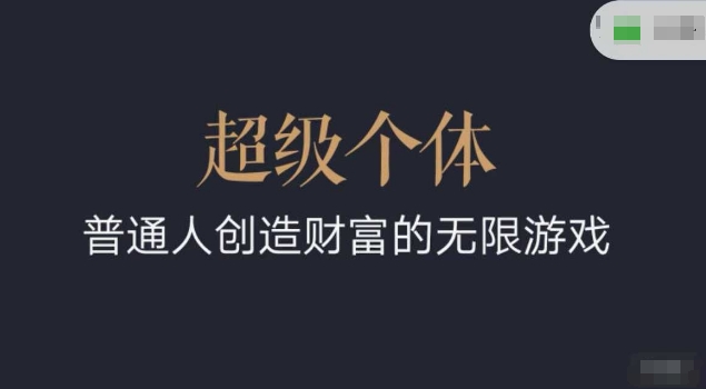 超级个体2024-2025翻盘指南，普通人创造财富的无限游戏-奇奇网创