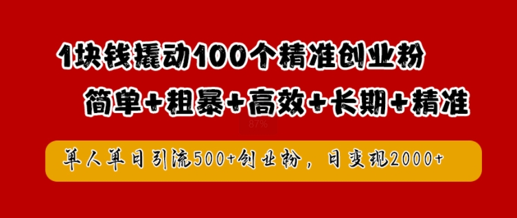 1块钱撬动100个精准创业粉，简单粗暴高效长期精准，单人单日引流500+创业粉，日变现2k【揭秘】-奇奇网创