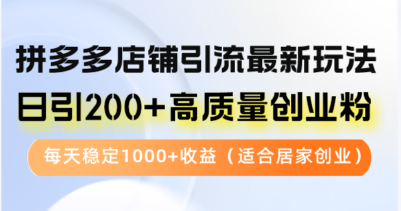 拼多多店铺引流最新玩法，日引200+高质量创业粉，每天稳定1000+收益（…-奇奇网创