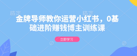 金牌导师教你运营小红书，0基础进阶赚钱博主训练课-奇奇网创