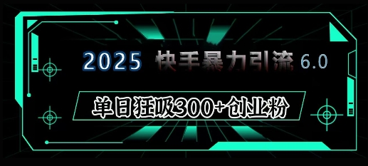 2025年快手6.0保姆级教程震撼来袭，单日狂吸300+精准创业粉-奇奇网创