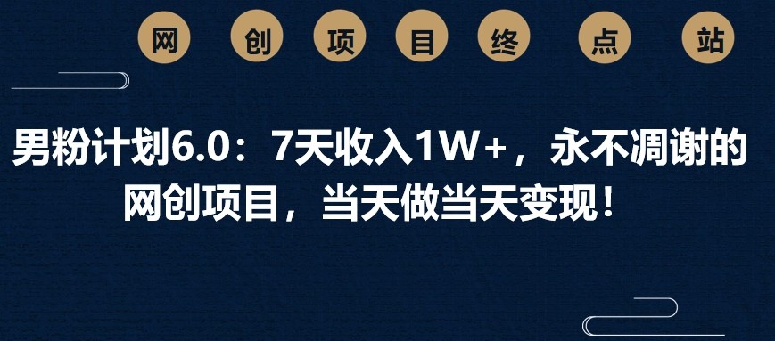 男粉计划6.0：7天收入1W+，永不凋谢的网创项目，当天做当天变现！-奇奇网创