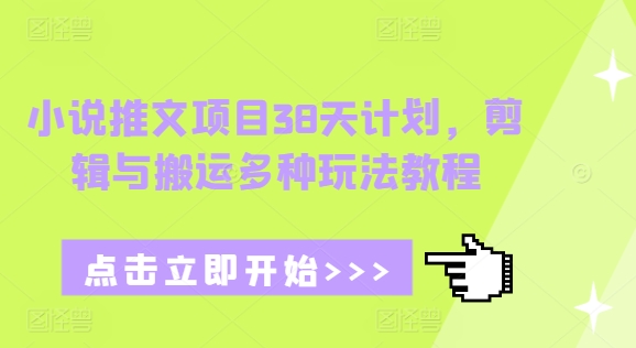 小说推文项目38天计划，剪辑与搬运多种玩法教程-奇奇网创