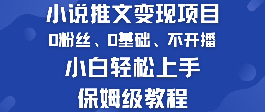 小说推文变现项目 0基础 不开播 小白轻松上手 保姆级教程-奇奇网创