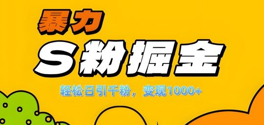 单人单机日引千粉，变现1k+，S粉流量掘金计划攻略【揭秘】-奇奇网创