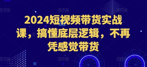 2024短视频带货实战课，搞懂底层逻辑，不再凭感觉带货-奇奇网创