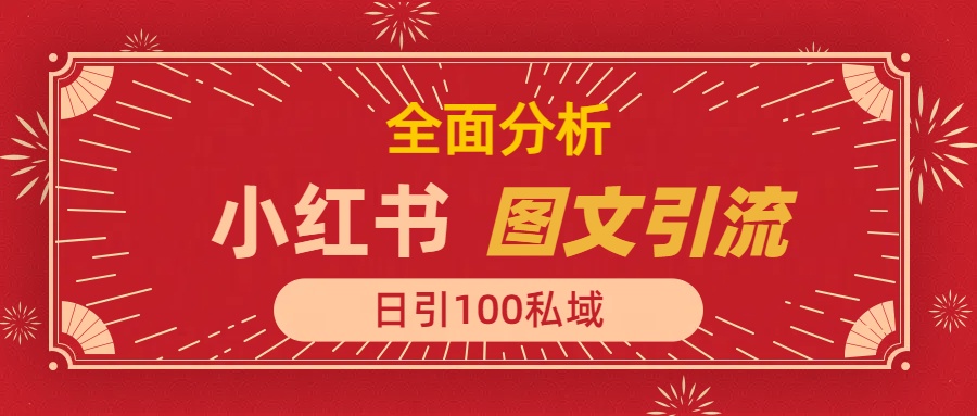 小红书图文引流，全面解析日引100私域流量是怎样做到的-奇奇网创
