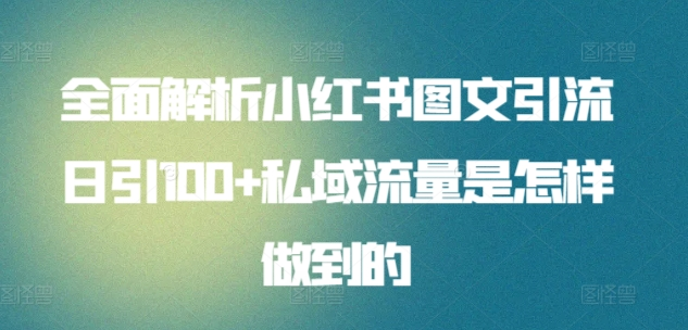 暴力引流 小红书图文引流日引100私域全面拆解【打粉人必看】-奇奇网创
