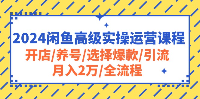 （10711期）2024闲鱼高级实操运营课程：开店/养号/选择爆款/引流/月入2万/全流程-奇奇网创