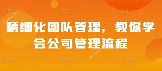 精细化团队管理，教你学会公司管理流程-奇奇网创