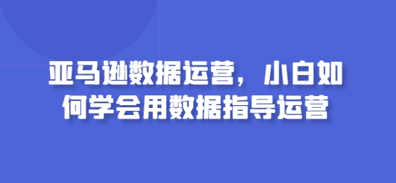 亚马逊数据运营，小白如何学会用数据指导运营-奇奇网创