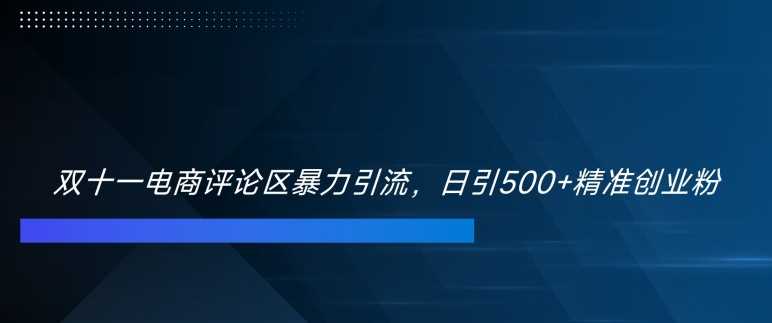 双十一电商评论区暴力引流，日引500+精准创业粉【揭秘】-奇奇网创