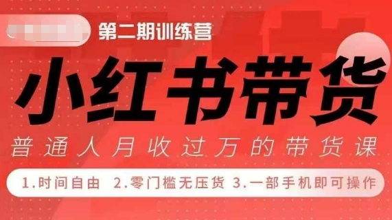 小Red书带货42天训练营 2.0版，宝妈+自由职+上班族+大学生，提高副业收入的大红利项目-奇奇网创