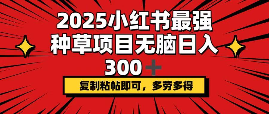 2025小红书最强种草项目，无脑日入300+，复制粘帖即可，多劳多得-奇奇网创