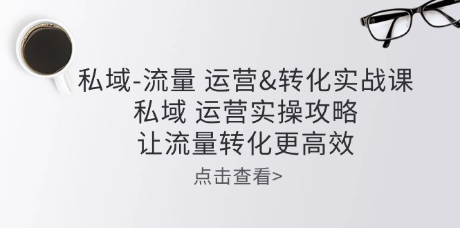 （10739期）私域-流量 运营&转化实操课：私域 运营实操攻略 让流量转化更高效-奇奇网创