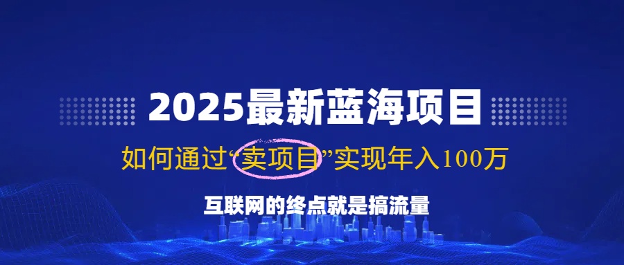 2025最新蓝海项目，零门槛轻松复制，月入10万+，新手也能操作！-奇奇网创