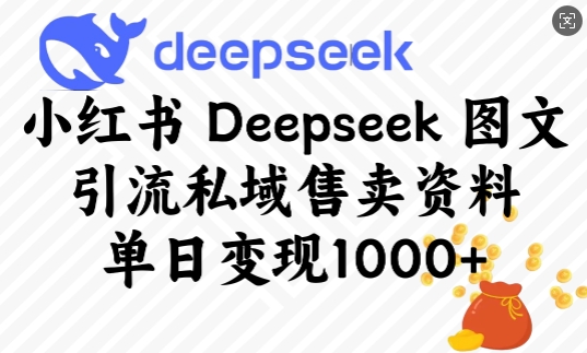 小红书Deepseek图文引流私域售卖资料，单日变现多张-奇奇网创