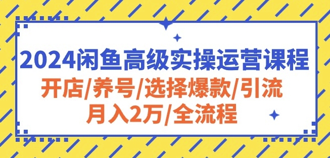 2024闲鱼高级实操运营课程：开店/养号/选择爆款/引流/月入2万/全流程-奇奇网创