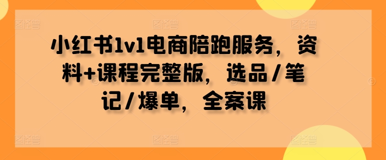 小红书1v1电商陪跑服务,资料+课程完整版,选品/笔记/爆单,全案课-奇奇网创