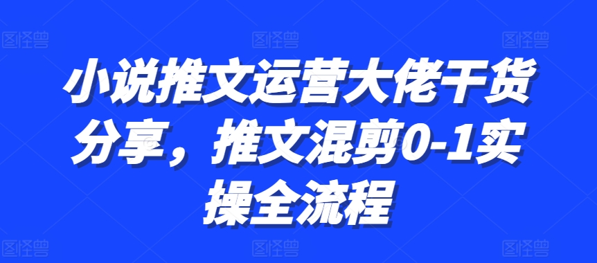 小说推文运营大佬干货分享，推文混剪0-1实操全流程-奇奇网创