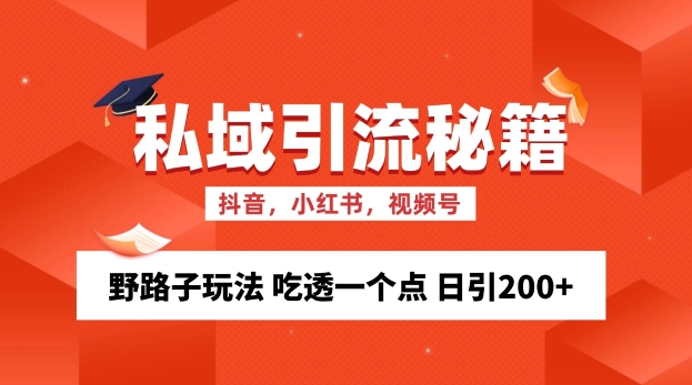 私域流量的精准化获客方法 野路子玩法 吃透一个点 日引200+ 【揭秘】-奇奇网创