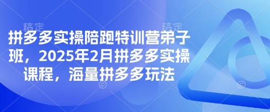 拼多多实操陪跑特训营弟子班，2025年2月拼多多实操课程，海量拼多多玩法-奇奇网创