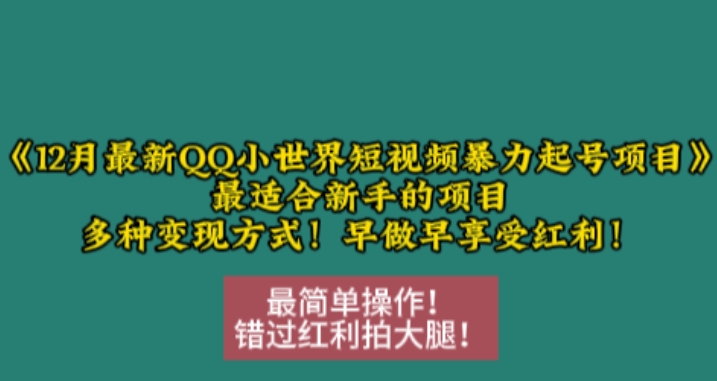 12月最新QQ小世界短视频暴力起号项目,最适合新手的项目,多种变现方式-奇奇网创