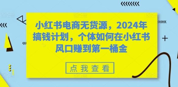 小红书电商无货源，2024年搞钱计划，个体如何在小红书风口赚到第一桶金-奇奇网创