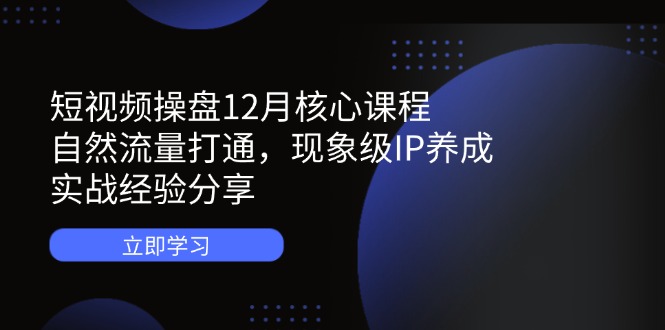 短视频操盘12月核心课程：自然流量打通，现象级IP养成，实战经验分享-奇奇网创