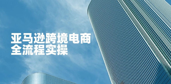 亚马逊跨境电商全流程实操，教你从零开始，掌握店铺运营与广告技巧-奇奇网创