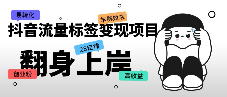 抖音流量标签变现项目，抖音创业粉轻松转化，单价高收益简单-奇奇网创