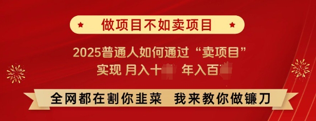 必看，做项目不如卖项目，2025普通人如何通过“卖项目”实现月入十个，年入百个-奇奇网创