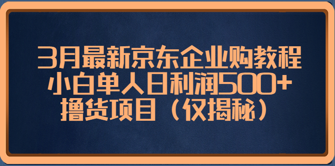 3月最新京东企业购教程，小白单人日利润500+撸货项目（仅揭秘）-奇奇网创