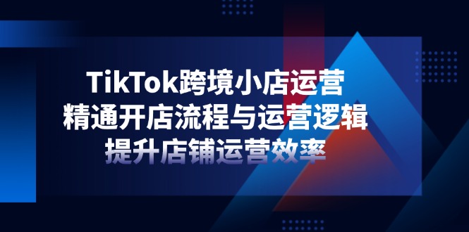 TikTok跨境小店运营，精通开店流程与运营逻辑，提升店铺运营效率-奇奇网创