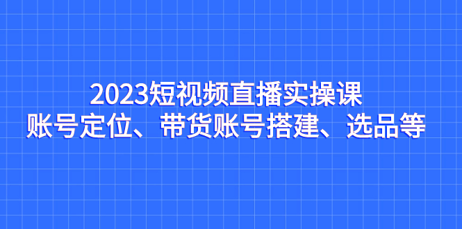 2023短视频直播实操课，账号定位、带货账号搭建、选品等-奇奇网创