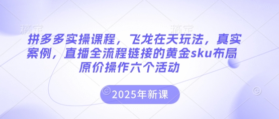 拼多多实操课程，飞龙在天玩法，真实案例，直播全流程链接的黄金sku布局原价操作六个活动-奇奇网创