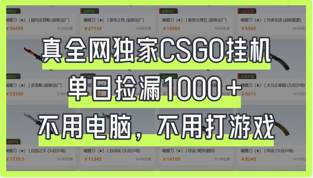 真全网独家CSGO挂机，单日捡漏1000+，不用电脑，不用养号-奇奇网创