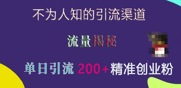 不为人知的引流渠道，流量揭秘，实测单日引流200+精准创业粉【揭秘】-奇奇网创